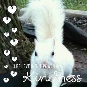 Meet your Posher, Theresa